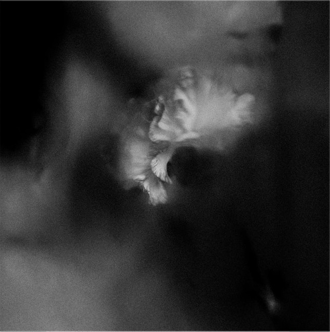 Holding Absence - You Are Everything (Single) (2019)