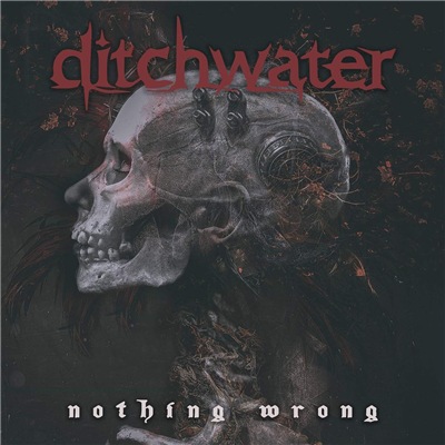 Ditchwater - Nothing Wrong (2019)