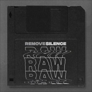 Remove Silence - Raw (2019)