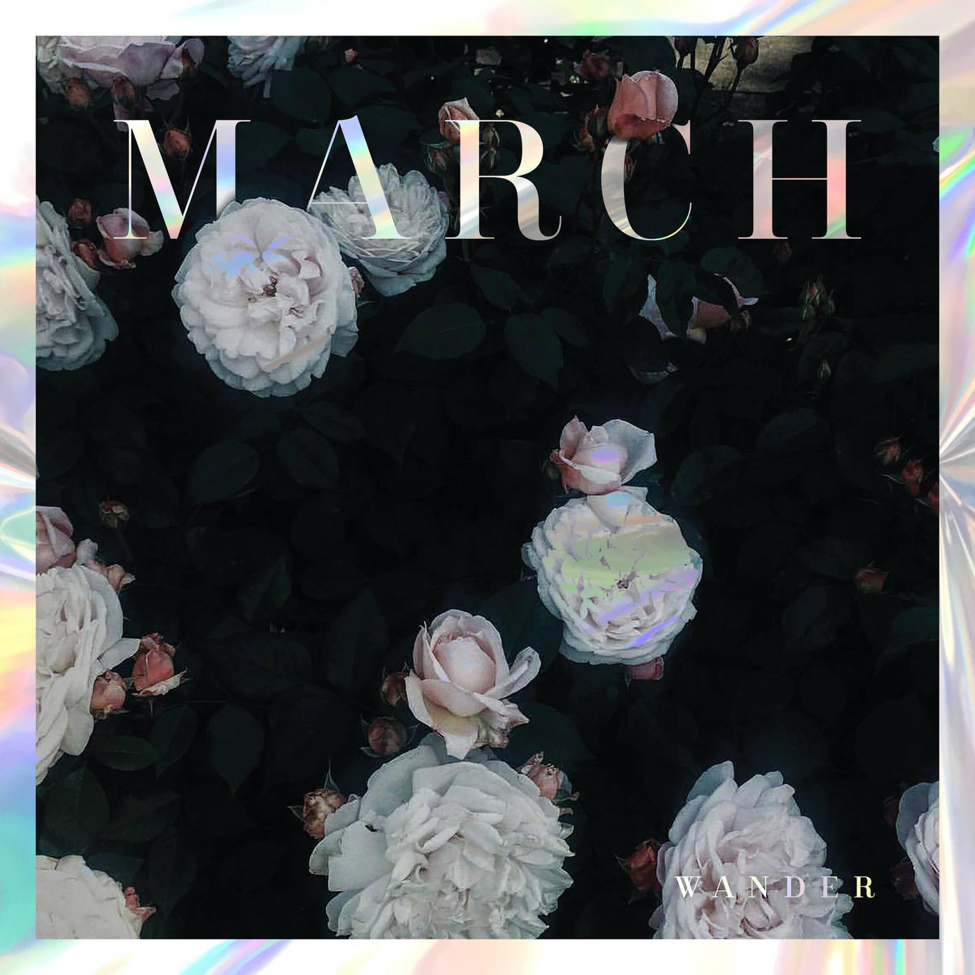 Wander - March (2019)