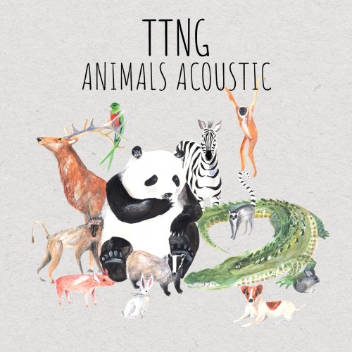 This Town Needs Guns - Animals Acoustic (2019)
