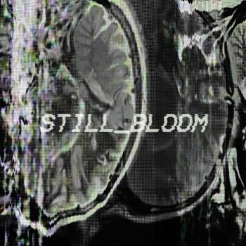 Still_bloom - Discography (2017-2019)
