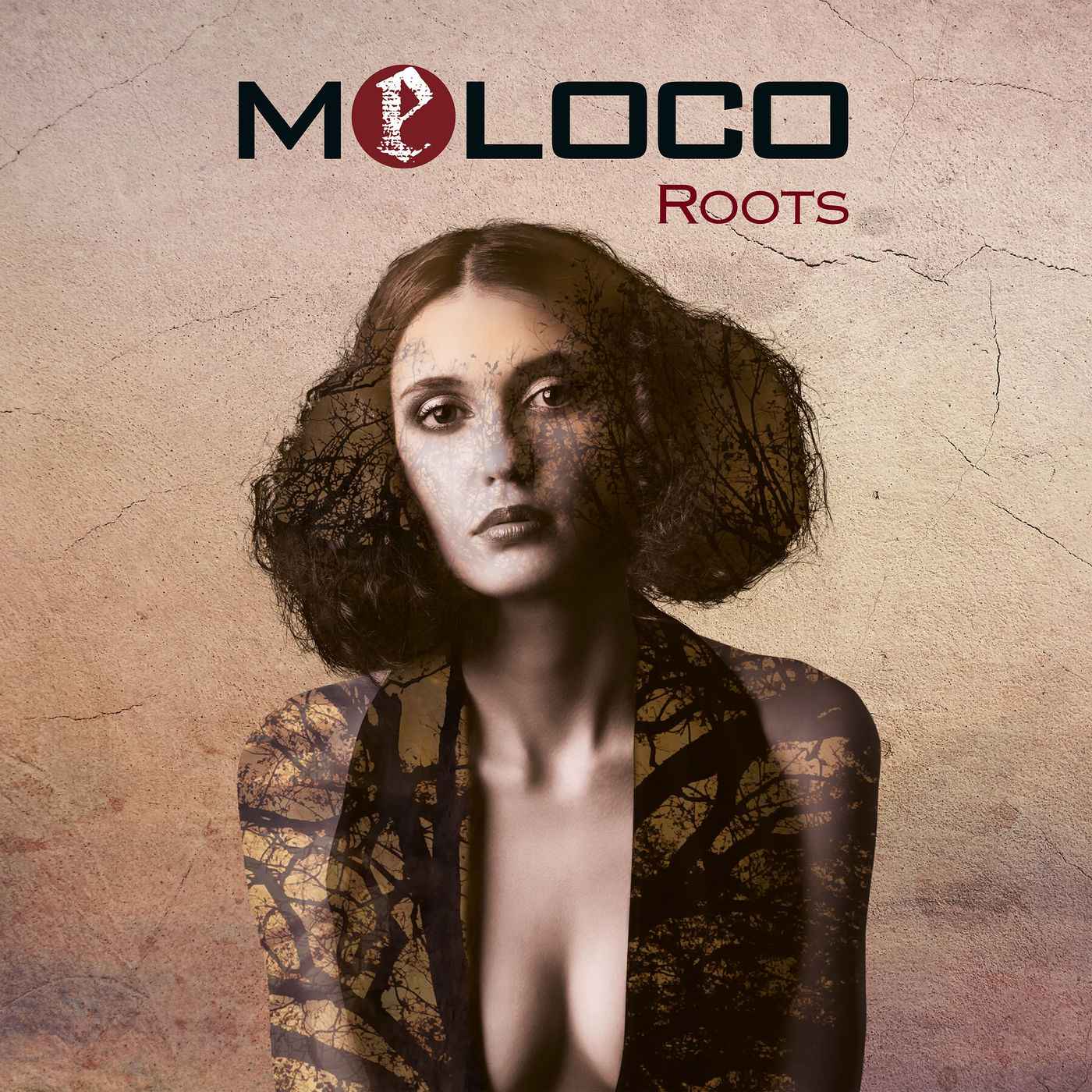 Meloco - Roots (2019)