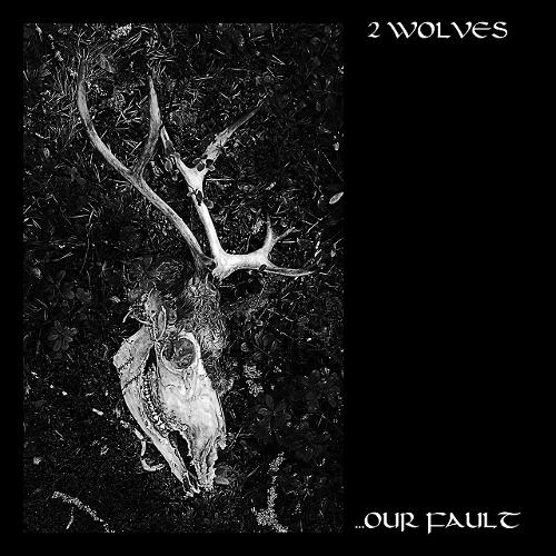 2 Wolves - ...Our Fault (2019)