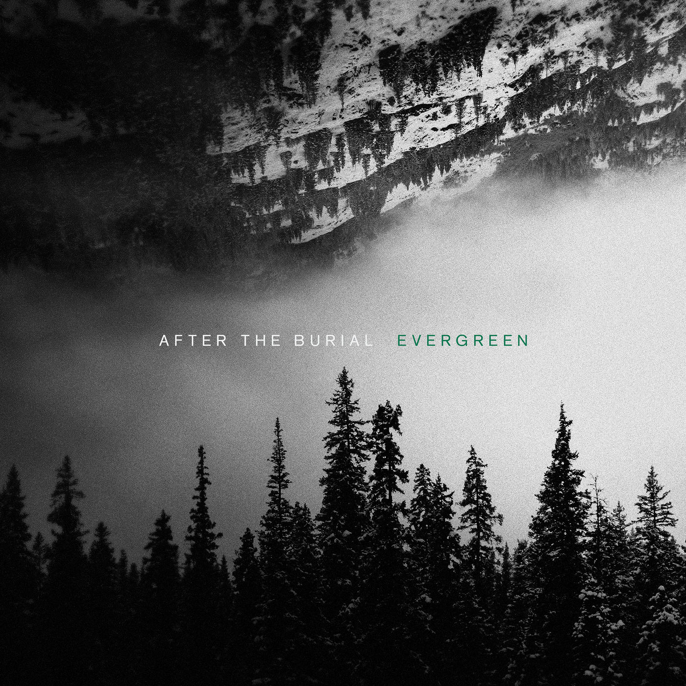 After the Burial - Evergreen (2019)