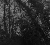Abysmal Growls Of Despair - La Forêt Hors Du Temps (2019)