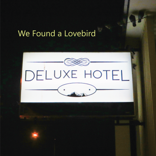 We Found a Lovebird - Deluxe Hotel (2019)
