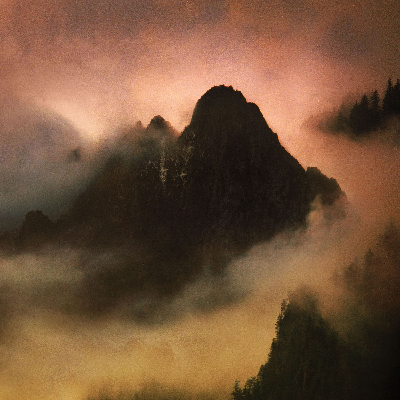 Dead To A Dying World - Elegy (2019)