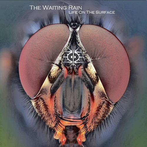 The Waiting Rain - Life on the Surface (2019)