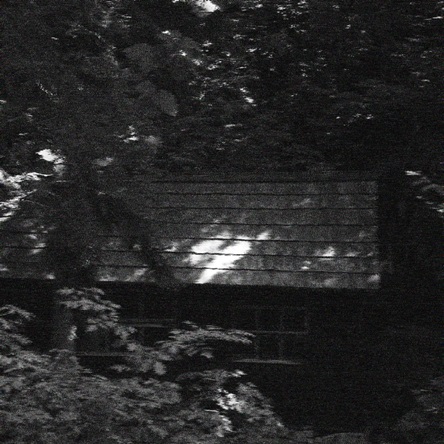 Pale Hands of Cold - Cabin (2019)