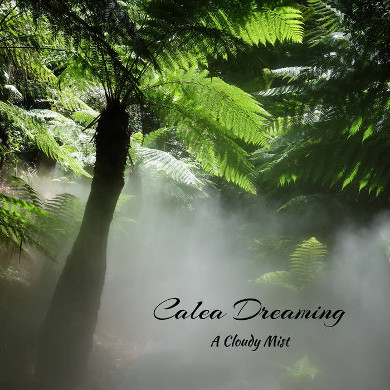 Calea Dreaming - A Cloudy Mist (2019)