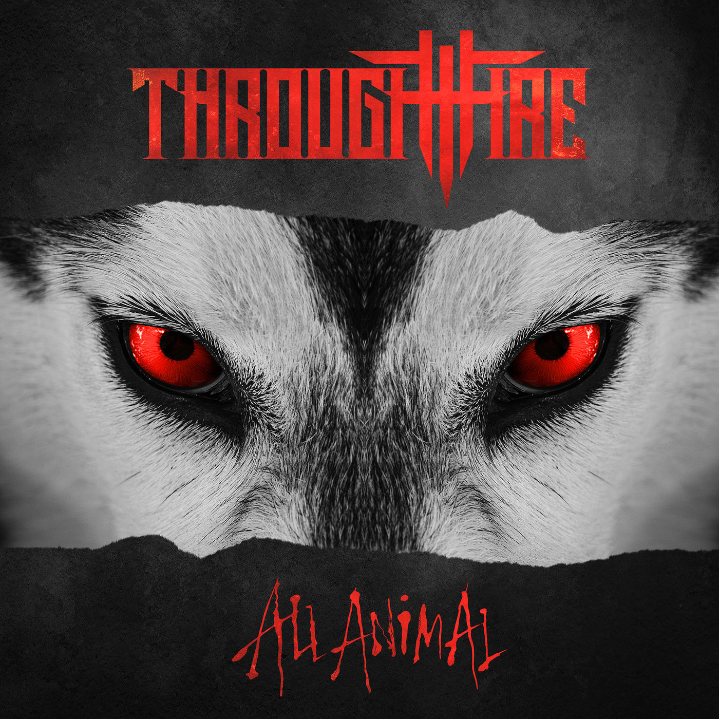 Through Fire - All Animal (2019)