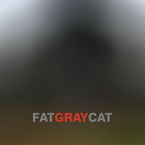 Fat Gray Cat - Fat Gray Cat (2019)