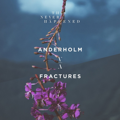 Anderholm - Fractures (2019)