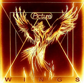 Picture - Wings (2019)