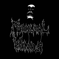 Funeral Winds - The Unheavenly Saviour [compilation] (2019)