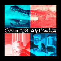 Galateo Animale - Galateo Animale (2019)