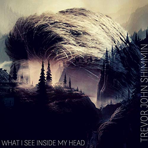 Trevor Shimmin - What I See Inside My Head (2019)