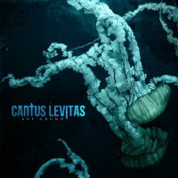 Cantus Levitas - Auf Grund (2019)