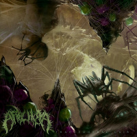 Arachnoia - Tracheuheral Lair [ep] (2019)