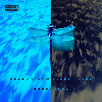 Nokchampa - Dragonfly Of Black And Blue (2019)