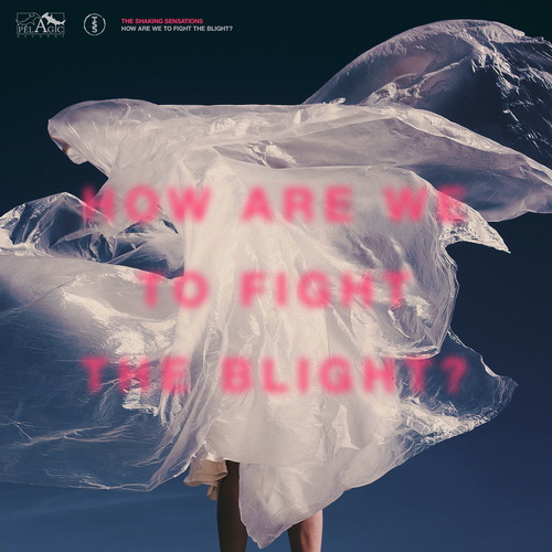 The Shaking Sensations - How Are We To Fight The Blight - 2019