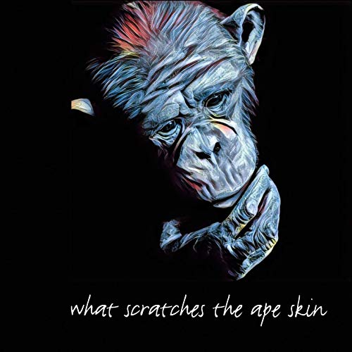 Bjorn Pehrson & Jorgen Andersson - What Scratches The Ape Skin (2019)