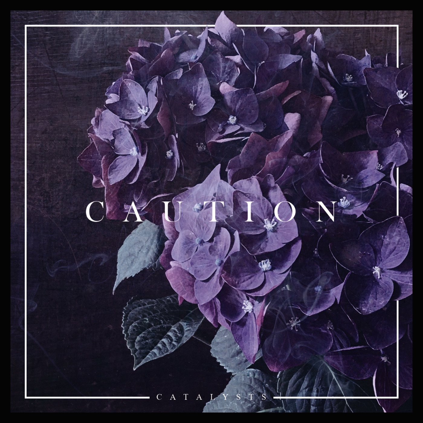 Catalysts - Caution [EP] (2019)