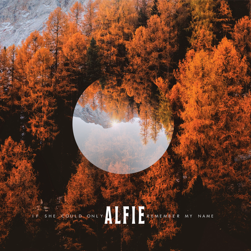 Alfie - If She Could Only Remember My Name (2020)